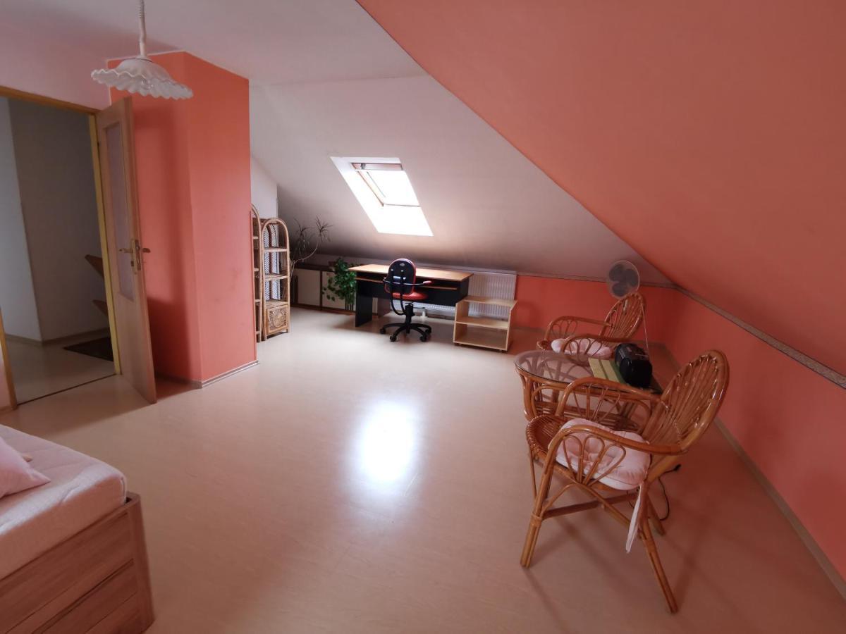Rodinny Apartman V Dome โกชิเซ ภายนอก รูปภาพ